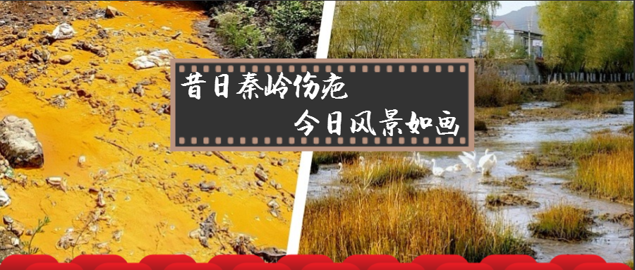 旧日秦岭伤疤 今日景致如画——陕西hahabet集团黄龙河道域传染治理侧记 旧日秦岭伤疤 今日景致如画——陕西hahabet集团黄龙河道域传染治理侧记
