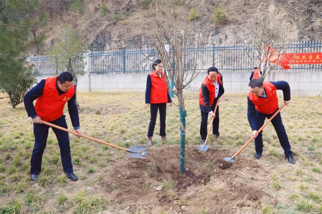 根系青春·植此青绿|陕西hahabet集团团委发展使命植树自愿活动 根系青春·植此青绿|陕西hahabet集团团委发展使命植树自愿活动